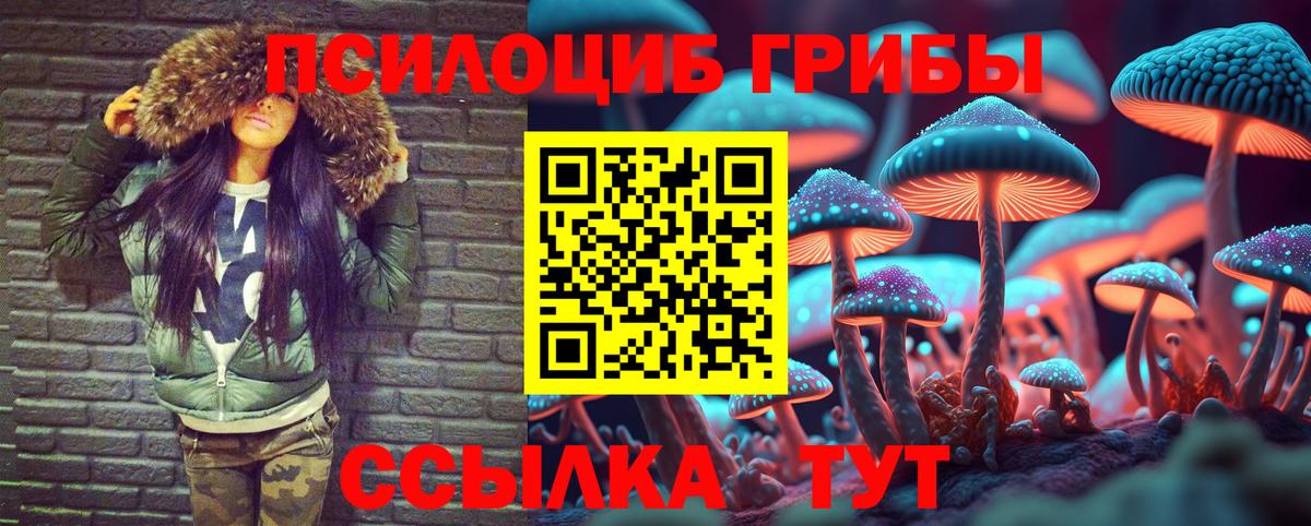 Псилоцибиновые грибы GOLDEN TEACHER Магадан