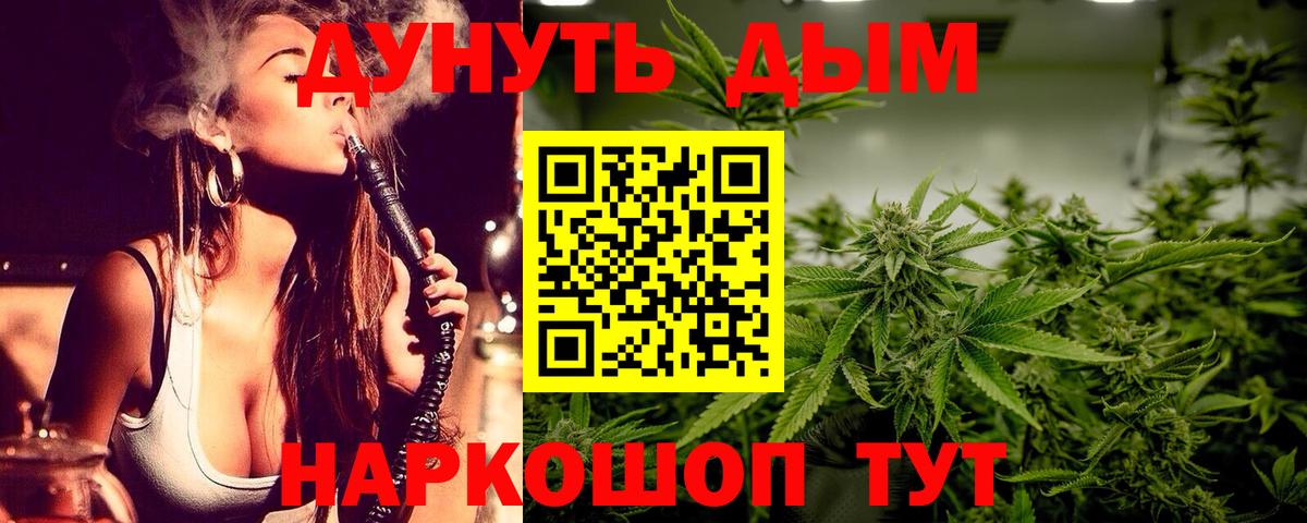 Бошки Шишки MAZAR Магадан